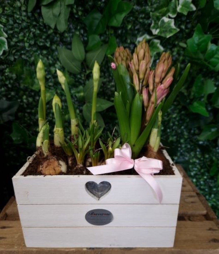 Spring Planters Flowerzone