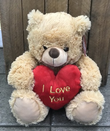 I Love You Teddy Bear