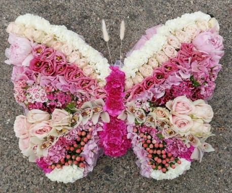 Pink Butterfly