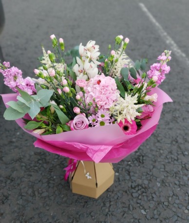 Astilbe Aqua Box