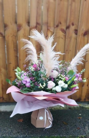 Wow Pampas Grass Aqua Box