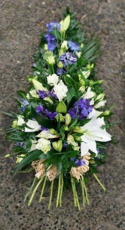 White and Blue Sheaf