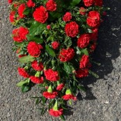 All Red Carnation Casket Spray