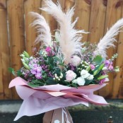 Wow Pampas Grass Aqua Box