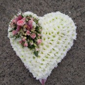 Pink and white based Heart